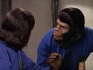 The Planet of the Apes photo 5 (episode s01e07)