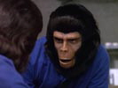 The Planet of the Apes photo 6 (episode s01e07)