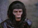 The Planet of the Apes photo 6 (episode s01e08)