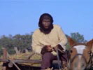 The Planet of the Apes photo 4 (episode s01e10)