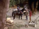 The Planet of the Apes photo 1 (episode s01e11)