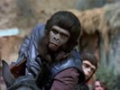 The Planet of the Apes photo 6 (episode s01e12)