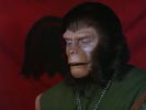 The Planet of the Apes photo 7 (episode s01e12)