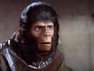 The Planet of the Apes photo 7 (episode s01e13)