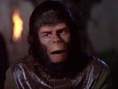 The Planet of the Apes photo 7 (episode s01e14)