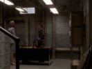 The West Wing photo 3 (episode s04e21)