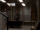 West Wing - tutti gli uomini del Presidente photo 3 (episode s04e21)