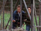 Threshold photo 8 (episode s01e13)