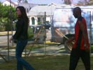 Weeds photo 3 (episode s01e01)