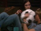 Weeds photo 4 (episode s01e01)