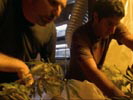 Weeds photo 1 (episode s02e08)