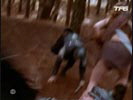 Xena la guerrire photo 1 (episode s06e01)